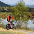 Beginner-Friendly Cycling Events in Charlottesville, Virginia: A Comprehensive Guide