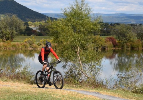 Exploring the Best Cycling Events in Charlottesville, Virginia: Routes, Tips, and More